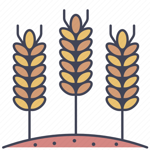Barley, farm, food, grain, organic, rice icon - Download on Iconfinder
