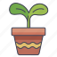garden, leaffarm, plant, pot 