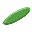 farm, cucumber, isometric