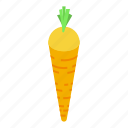 farm, carrot, isometric