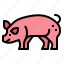 pig, animal, farm, mammal, livestock 