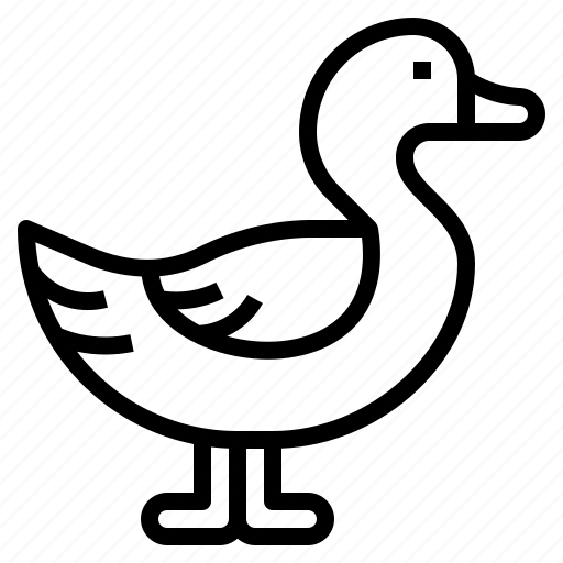 Duck, animal, farm, poultry, livestock icon - Download on Iconfinder