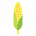 corn, plant, vegetable, sweetcorn, grain