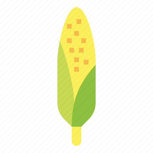 Corn, plant, vegetable, sweetcorn, grain icon - Download on Iconfinder