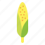corn, plant, vegetable, sweetcorn, grain 