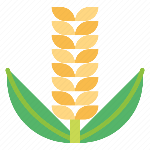 Rice, plant, ear, of, grain, seed icon - Download on Iconfinder