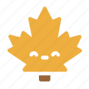maple, leaf, leaves, autumn, plant