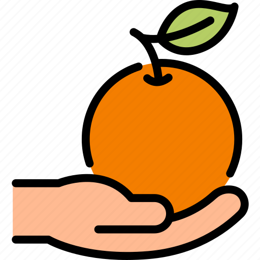 Hand, hold, orange, fruit, harvest, cultivate, agriculture icon - Download on Iconfinder