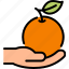 hand, hold, orange, fruit, harvest, cultivate, agriculture, farm, cartoon 