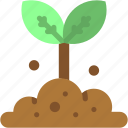 sprout, nature, tree, joshua, growing, seed, farming