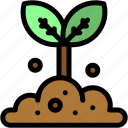 sprout, nature, tree, joshua, growing, seed, farming