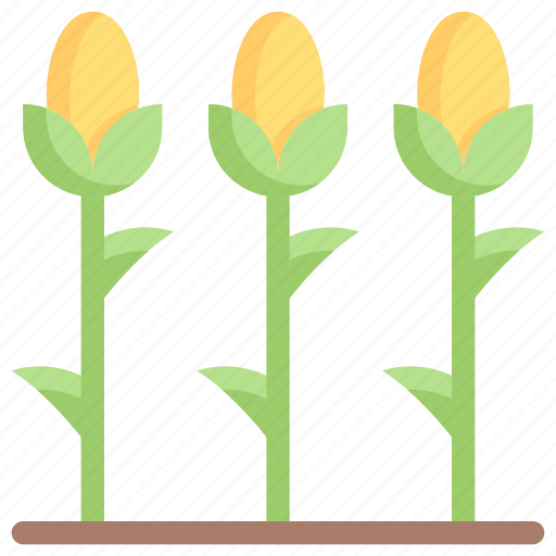 Corn, field, plant, farm, garden, farming, agriculture icon - Download on Iconfinder