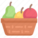 fruit, basket, farming, healthy, agriculture, fresh, food