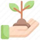 growing, tree, plant, leaf, ecology, nature