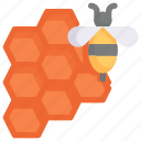 honeycomb, bee, food, sweet, honey