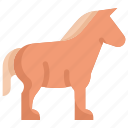 horse, farm