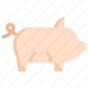 pig, animal