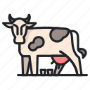 farming, farm, agriculture, cow, milk, cattle, animal, pet