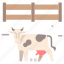 agriculture, farming, farm, field, cattle, cow, pet, animal 