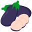 egg, plant, bringel, vege, guinea, squash, tropical, farming, food 
