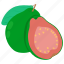 guava, fruit, gooseberry, huckleberry, food, farm, home, gardening 