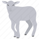lamb, ram, goat, mutton, dairy, livestock, cattle
