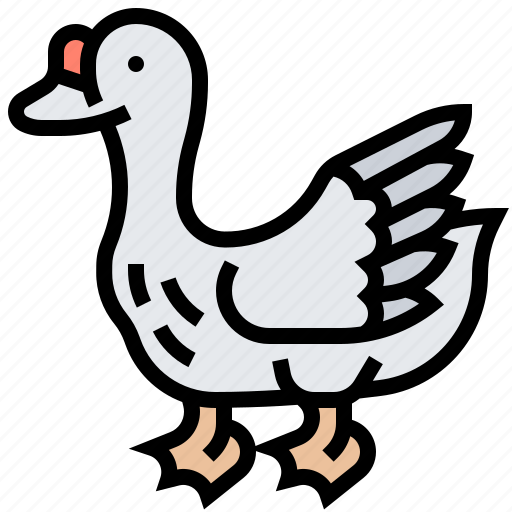 Animal, bird, domestic, farm, goose icon - Download on Iconfinder