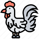 animal, chicken, farm, hen, livestock