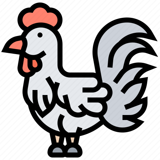 Animal, chicken, farm, hen, livestock icon - Download on Iconfinder