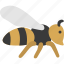 bee, wasp, bumblebee, honey, honeycomb, insect, animal 