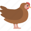 chicken, chick, hen, poultry, fowl, bird, animal 