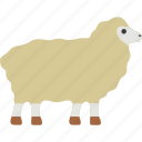 sheep, ewe, mutton, lamb, goat, ovine, animal
