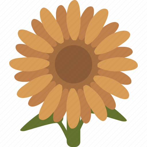 Sunflower, sun flower, seed, helianthus, flower, floral, plant icon - Download on Iconfinder