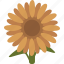 sunflower, sun flower, seed, helianthus, flower, floral, plant 