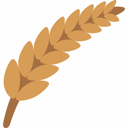 Wheat, grain, barley, seed, harvest, flour, plant icon - Download on Iconfinder