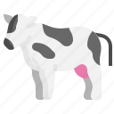 cow, livestock, cattle, milk