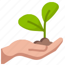 growth, plant, hand, sprout, nature