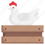 poultry, farming, agriculture, egg, chicken, coop 