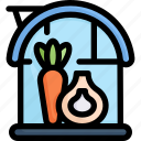 farming, gardening, agriculture, greenhouse, vegetable, carrot, onion
