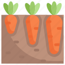 farming, gardening, agriculture, growing, carrot, garden, vegetable