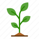 plant, leaves, nature, tree, farm, gardening, agriculture