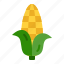 corn, food, farm, garden, agriculture 