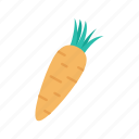 carrot, vegetable, healthy, food, vegetarian
