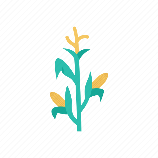Corn, plant, growth icon - Download on Iconfinder