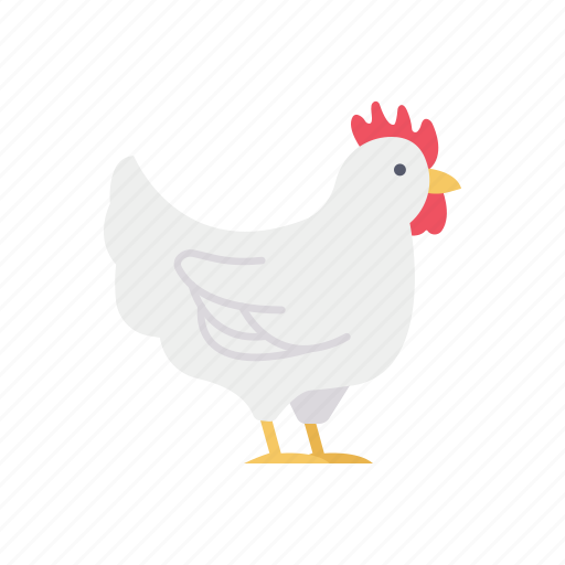 Hen, chicken, animals, bird icon - Download on Iconfinder