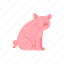 pig, pork, farm, animals