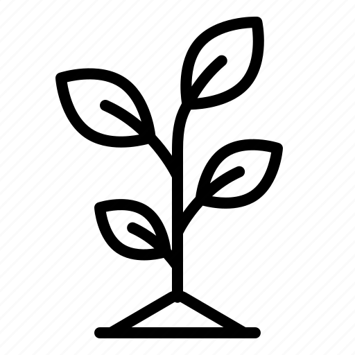 Plant, leaves, nature, tree, farm, gardening, agriculture icon - Download on Iconfinder