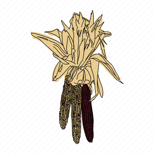 Autumn, color, corn, food, indian corn, vegetable icon - Download on Iconfinder