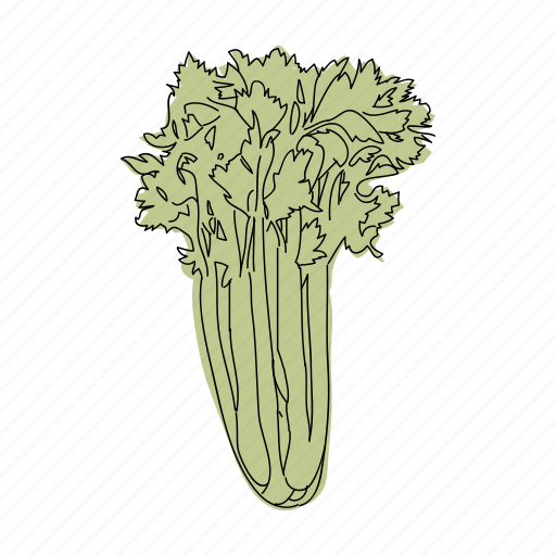 Celery, color, food, green, restaurant, vegetable icon - Download on Iconfinder