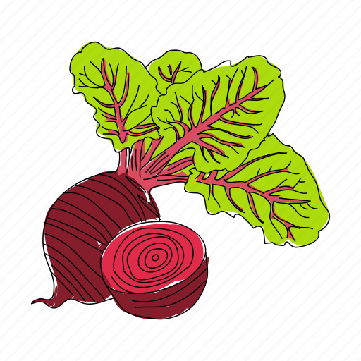 Beets, color, food, nutrition, red, vegetable icon - Download on Iconfinder